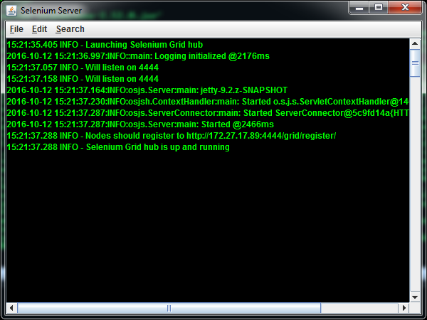 Selenium Hub Server Runner Screenshot