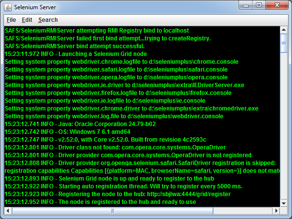 Selenium Node Server Runner Screenshot